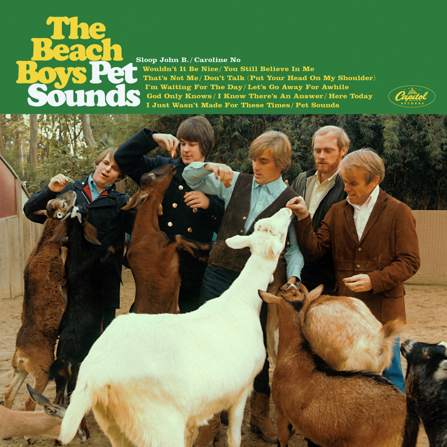 pet sounds by the beach boys