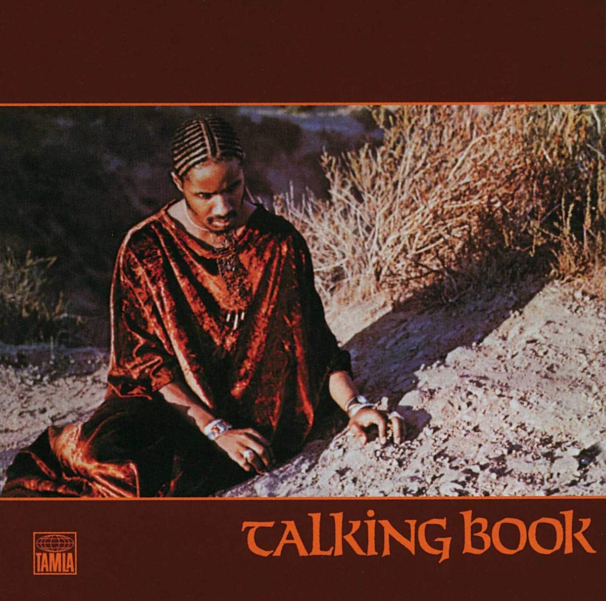 talking book by stevie wonder
